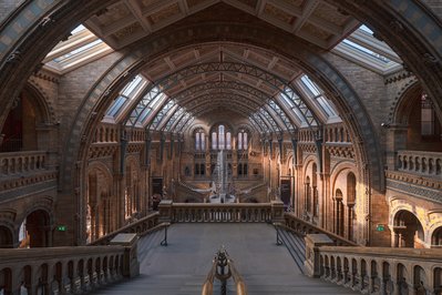 Natural History Museum in Funchal, Portugal – Museum Information gallery image