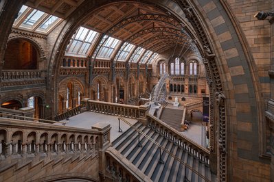 Natural History Museum in Funchal, Portugal – Museum Information gallery image