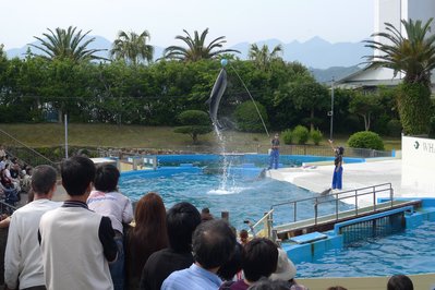 Whaling Museum of Madeira in Funchal, Portugal – Museum Information gallery image