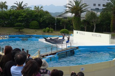 Whaling Museum of Madeira in Funchal, Portugal – Museum Information gallery image