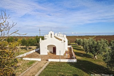Casa dos Nichos in Viana do Castelo, Portugal – Museum Information gallery image