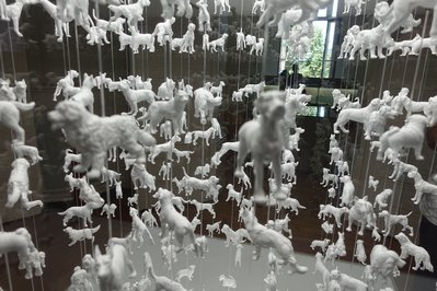 Galeria da Biodiversidade in Porto, Portugal – Museum Information gallery image