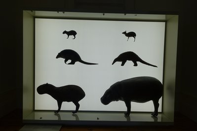 Galeria da Biodiversidade in Porto, Portugal – Museum Information gallery image