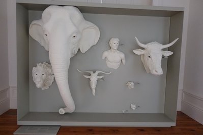 Galeria da Biodiversidade in Porto, Portugal – Museum Information gallery image