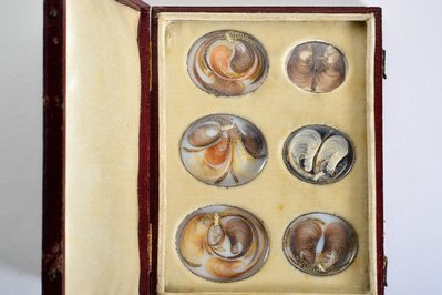 Museum Made with Hair in Arroyo, Puerto Rico – Museum Information gallery image