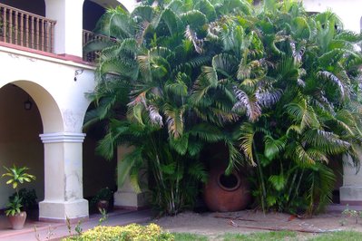 Museo de San Juan in San Juan, Puerto Rico – Museum Information gallery image