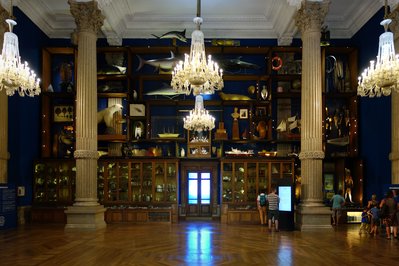 Oceanographic Museum in Bizerte, Tunisia – Museum Information gallery image
