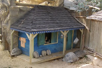 Crocodile parc in Djerba, Tunisia – Museum Information gallery image