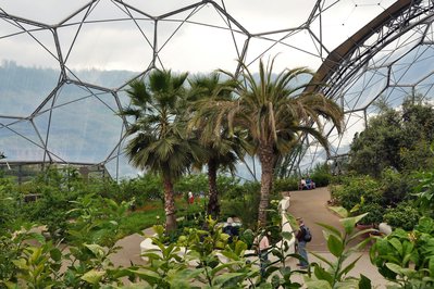 Eden Palm in Tunis, Tunisia – Museum Information gallery image
