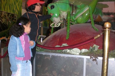 Tunis Science City in Tunis, Tunisia – Museum Information gallery image