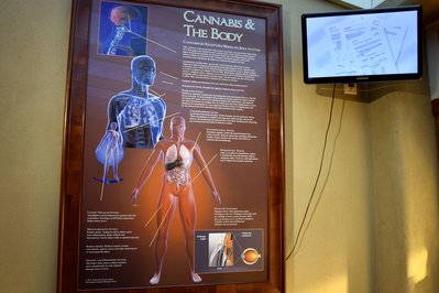 Museo de la Marihuana in Punta del Este, Uruguay – Museum Information gallery image