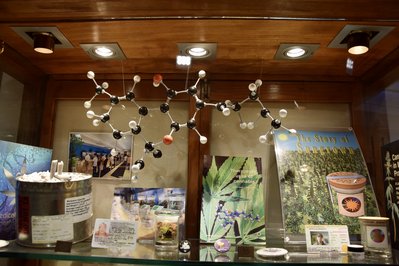 Museo de la Marihuana in Punta del Este, Uruguay – Museum Information gallery image