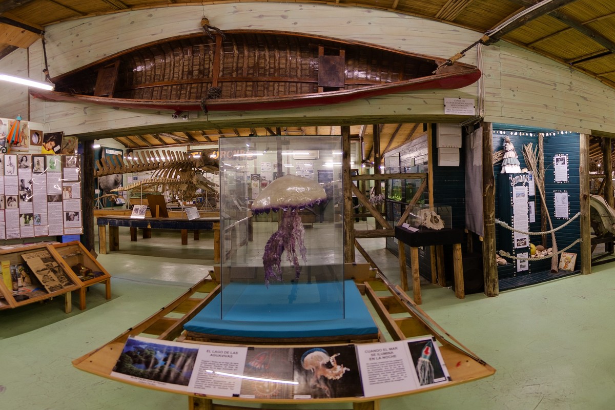 Museo del Mar in Punta del Este, Uruguay – Museum Information