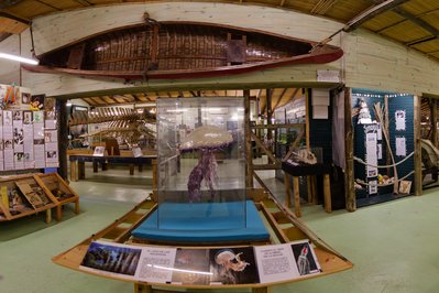 Museo del Mar in Punta del Este, Uruguay – Museum Information gallery image