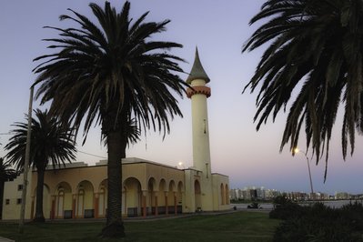 Museo Zoológico Dámaso Antonio Larrañaga in Montevideo, Uruguay – Museum Information gallery image