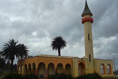 Museo Zoológico Dámaso Antonio Larrañaga in Montevideo, Uruguay – Museum Information gallery image