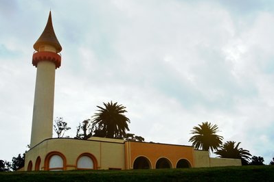 Museo Zoológico Dámaso Antonio Larrañaga in Montevideo, Uruguay – Museum Information gallery image
