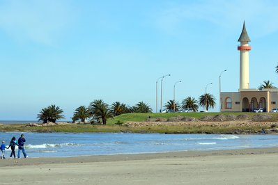 Museo Zoológico Dámaso Antonio Larrañaga in Montevideo, Uruguay – Museum Information gallery image