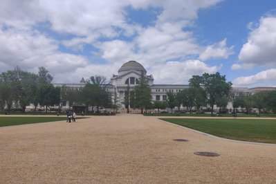 National Museum of Natural History in Montevideo, Uruguay – Museum Information gallery image