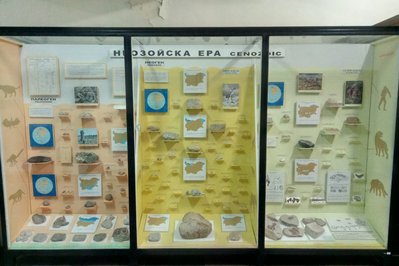 National Museum of Natural History in Montevideo, Uruguay – Museum Information gallery image
