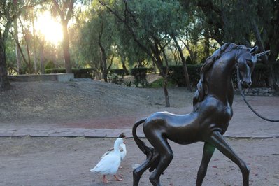 Parque de las Esculturas in Montevideo, Uruguay – Museum Information gallery image