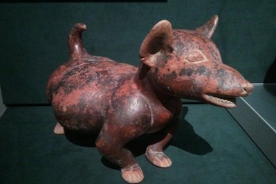 Pre-Columbian and Indigenous Art Museum in Montevideo, Uruguay – Museum Information gallery image
