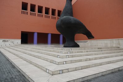 Museo La Paloma in Rocha, Uruguay – Museum Information gallery image