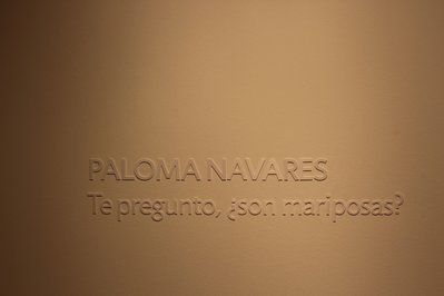 Museo La Paloma in Rocha, Uruguay – Museum Information gallery image