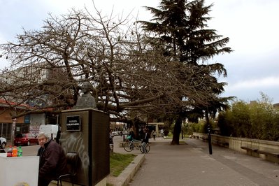Monumento A Gardel in Paso de los Toros, Uruguay – Museum Information gallery image