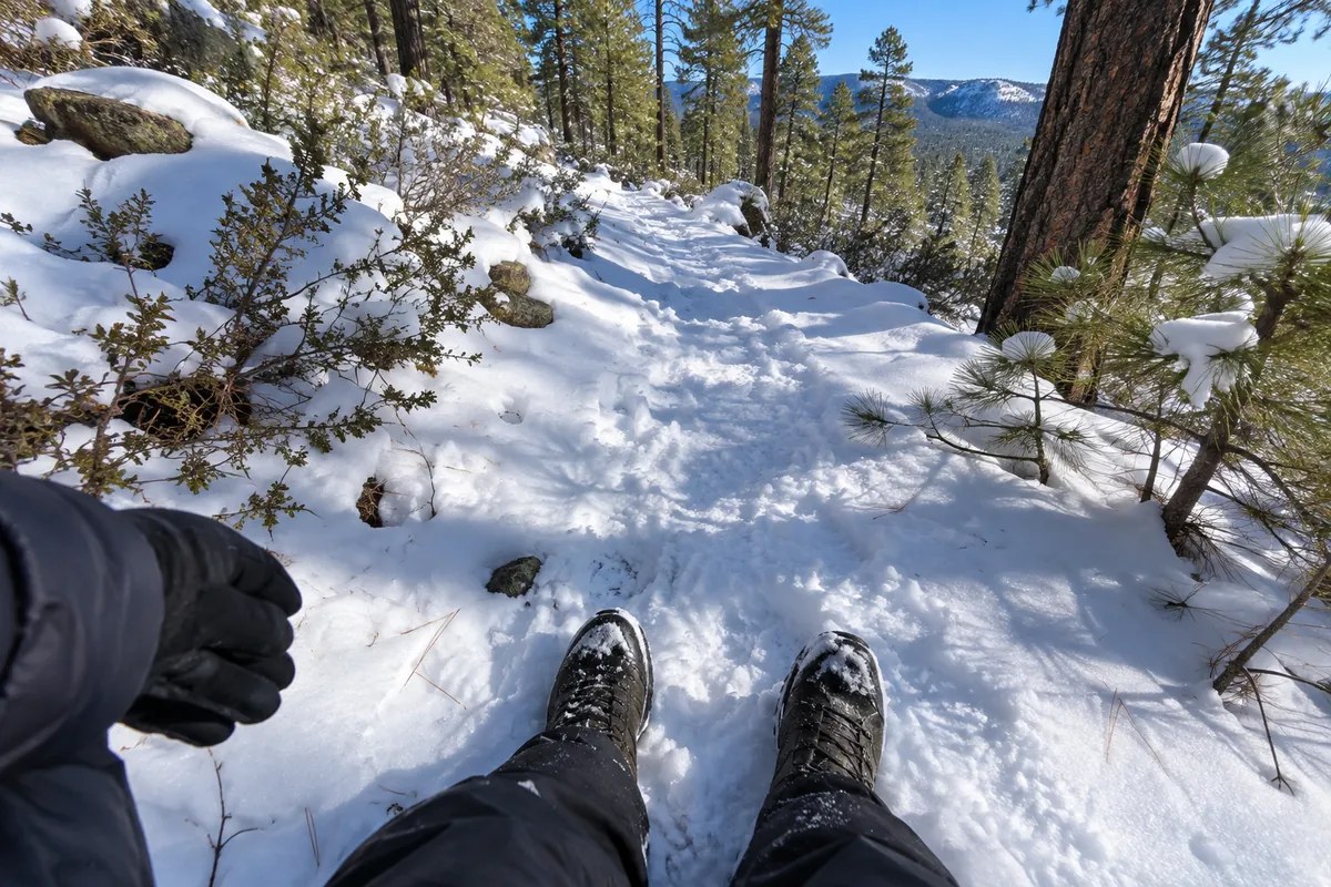 Feet in waterproof winter boots on fresh snow on a path between ponderosa pines