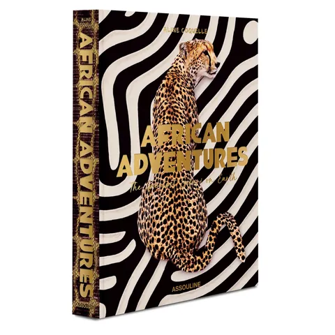 Cover of African Adventures