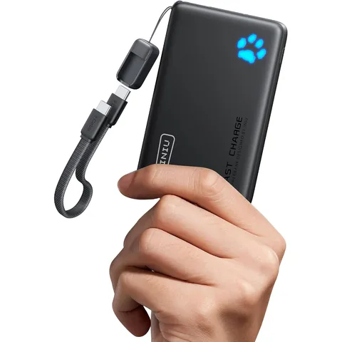 INIU 10000mAh 45W Power Bank (P41)